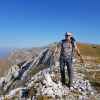 Radivoje